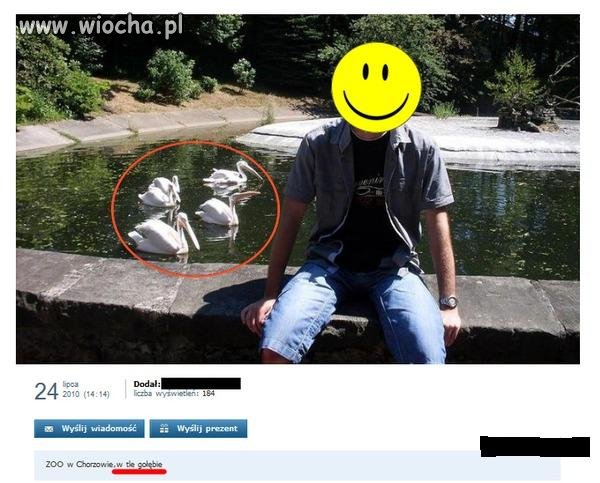 Komentarz niezbędny 
