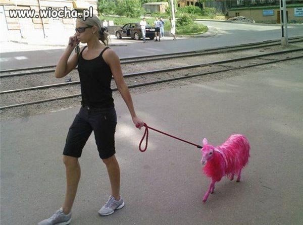 Uważasz, że to wiocha?