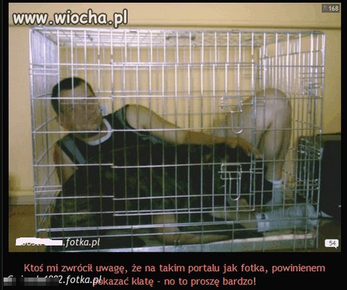 Szczyt inteligencji