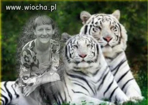 Mistrz photoshopa