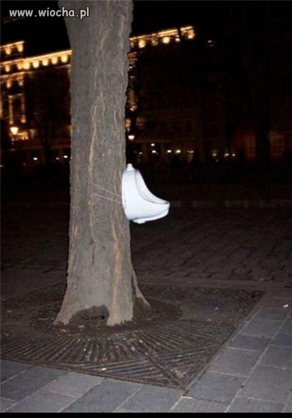 Miejska toaleta...