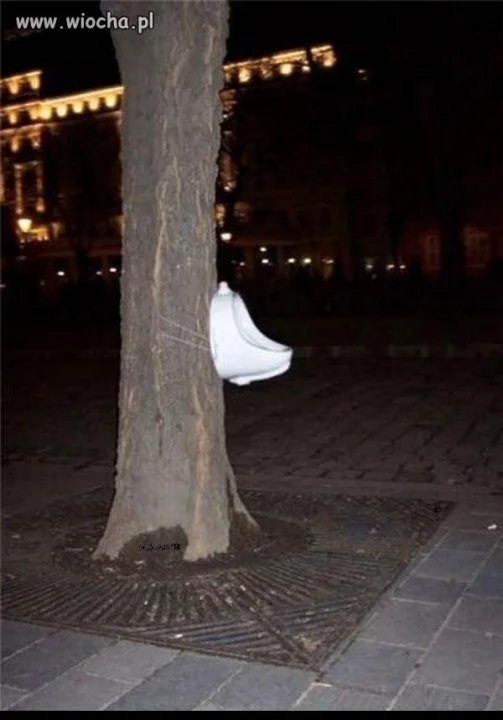 Miejska toaleta...