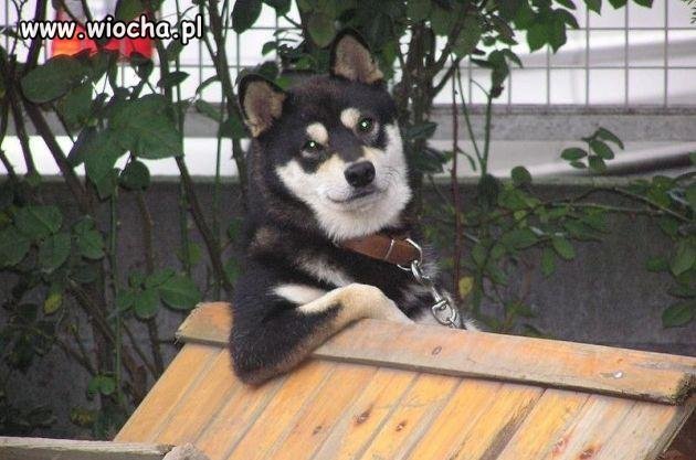 Co tam u Ciebie ?