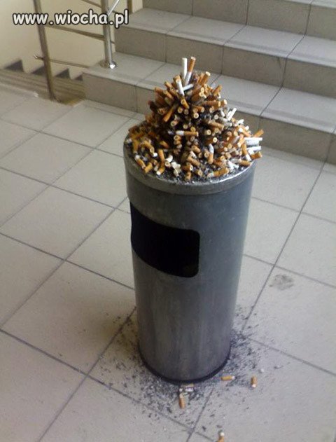 Śmietnik 