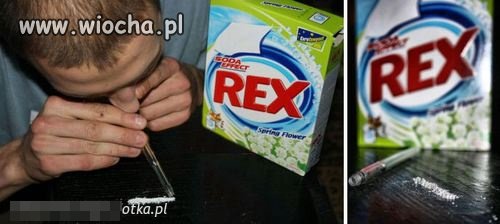 Rex 