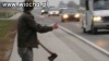 Autostopowicz