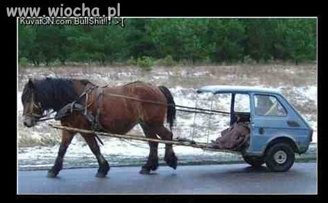 Maluch...