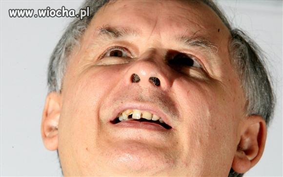 Ząbki Prezesa wiadomej partii