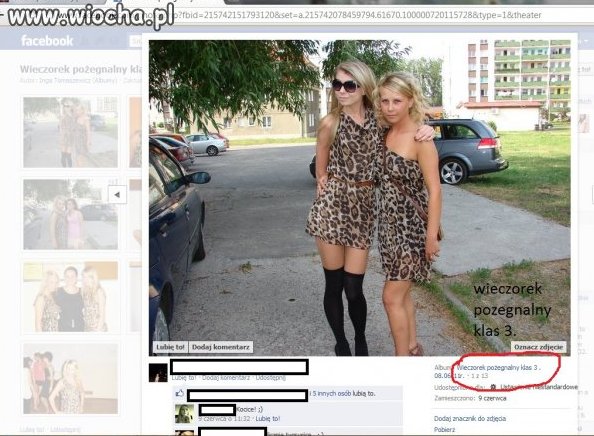 Ostre kocice