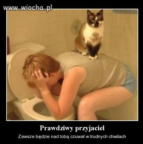Przyjaciele
