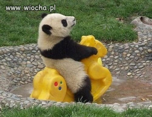Bawi się 