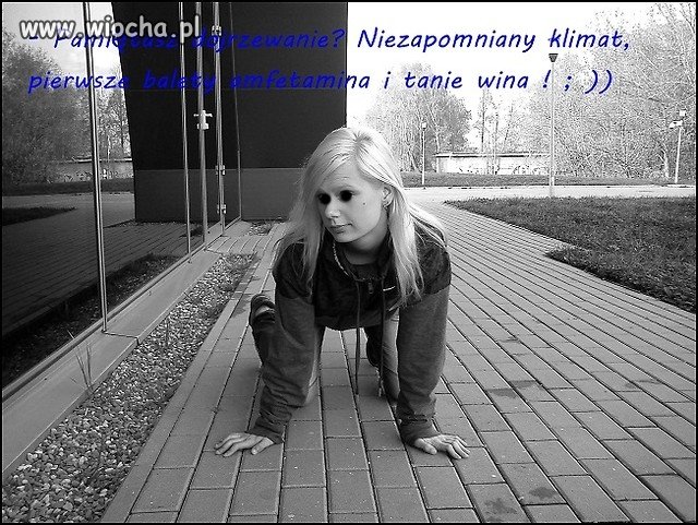 Opis fotki wiele tłumaczy