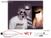 Paint + opis =