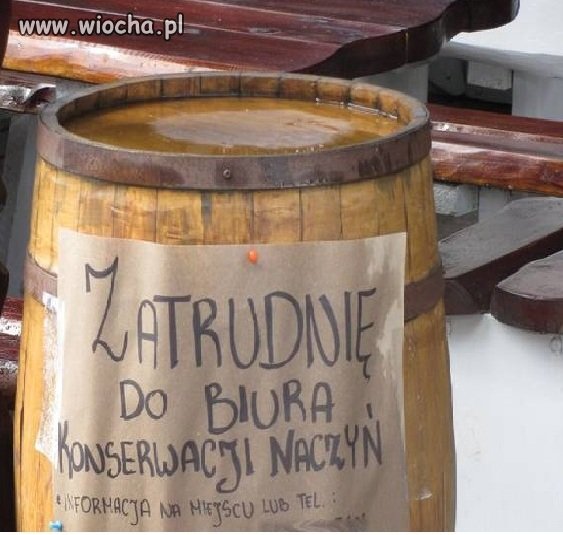 Oferta pracy