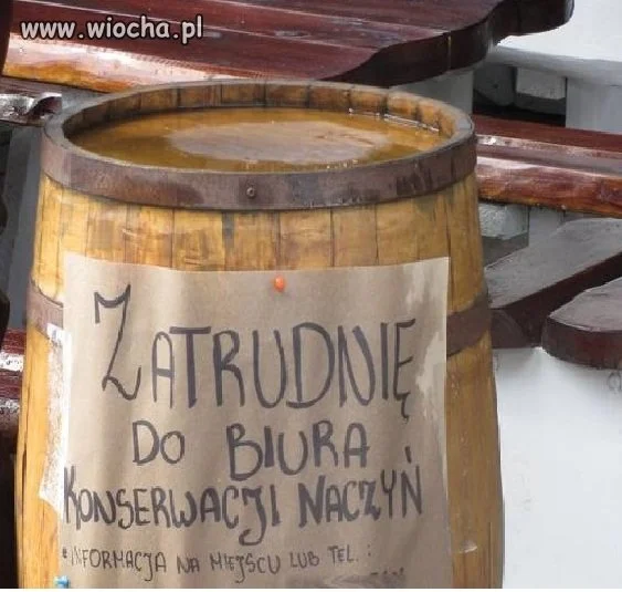 Oferta pracy