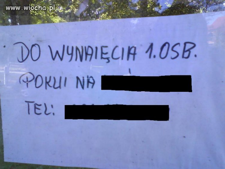 Do wynajęcia...