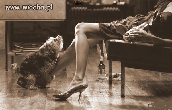 Z braku laku...