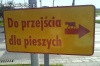 Krowo! Gdzie z tym ryjem?