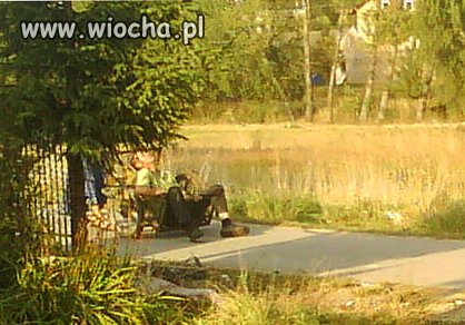 Powrót z polnego melanżu. 
