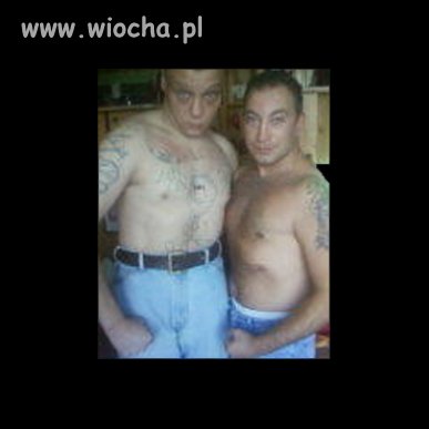 Puchar Kubicy