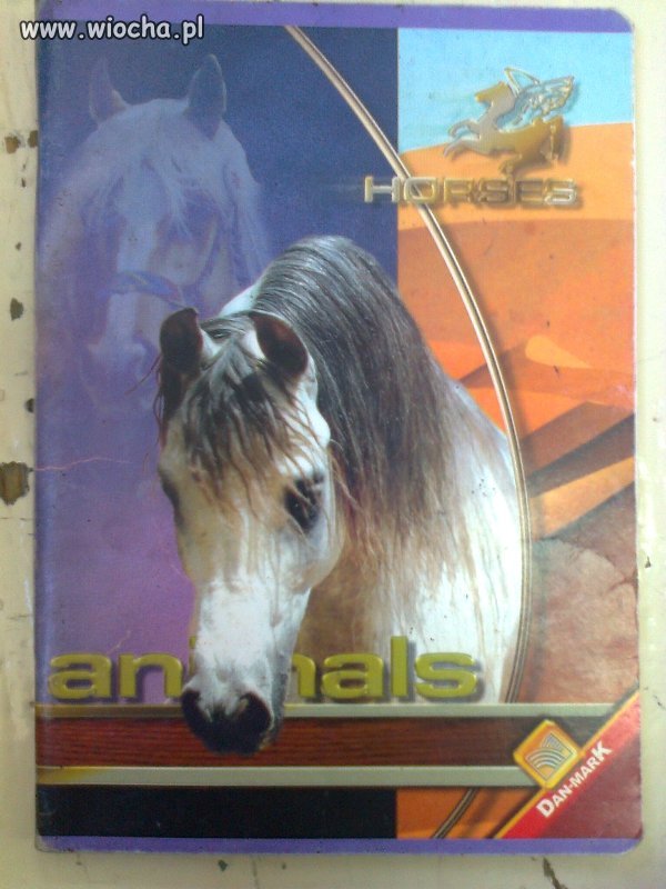 Anals na zeszycie?
