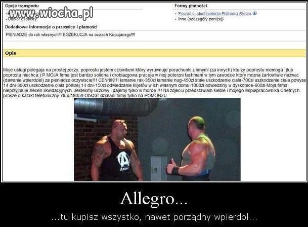 Ogłoszenie z allegro 