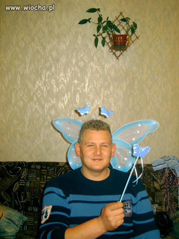 Wróżka Zębuszka