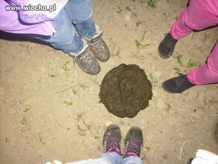 Z opisem pod zdj: "Gówienko które zrobiła Martynka:*"