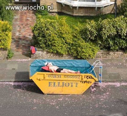 Ale skwar