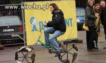 Polacy...