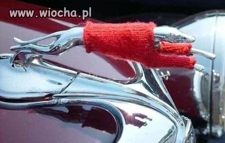 Kup Jaguara...