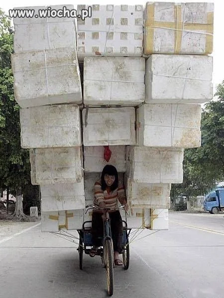 Transport