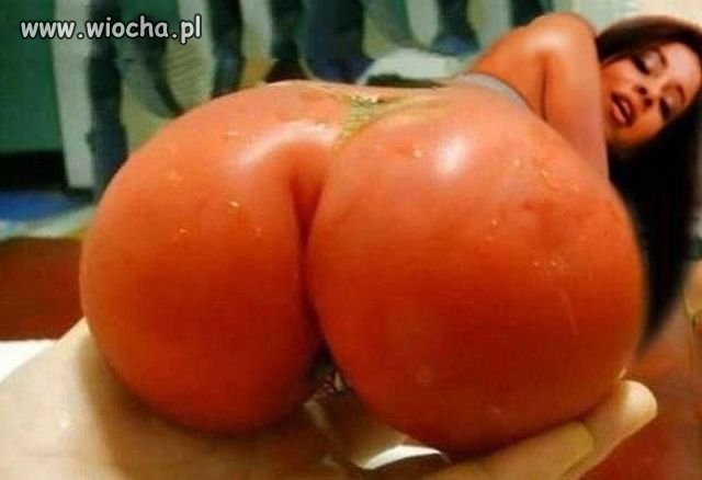 Pomidor