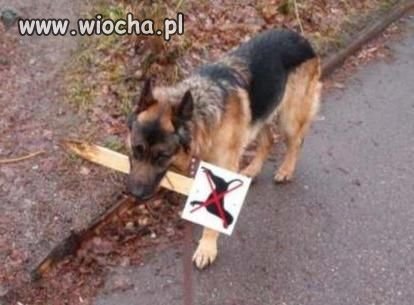 Podjął walkę o swoje prawa