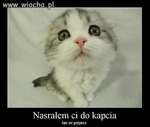 "Nic się nie stało"