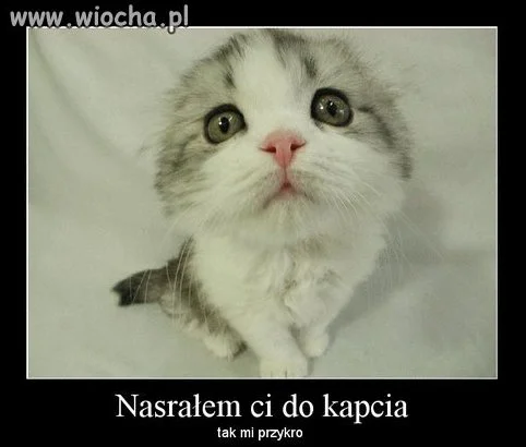 "Nic się nie stało"