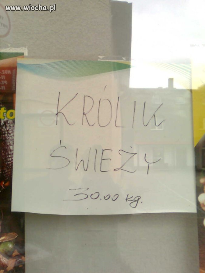 Świeży królik 30,00 Kg?!?!?!?