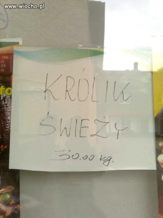 Świeży królik 30,00 Kg?!?!?!?