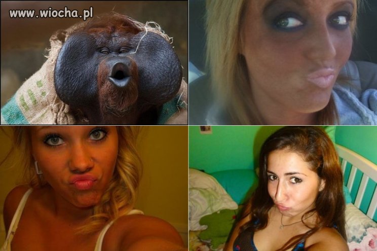 Fotki są do siebie bardzo podobne.