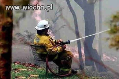 Jaka płaca...