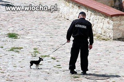 To kto kogo w końcu chroni