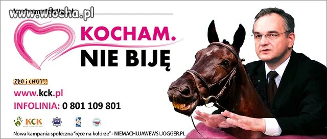Kocha czy nie?