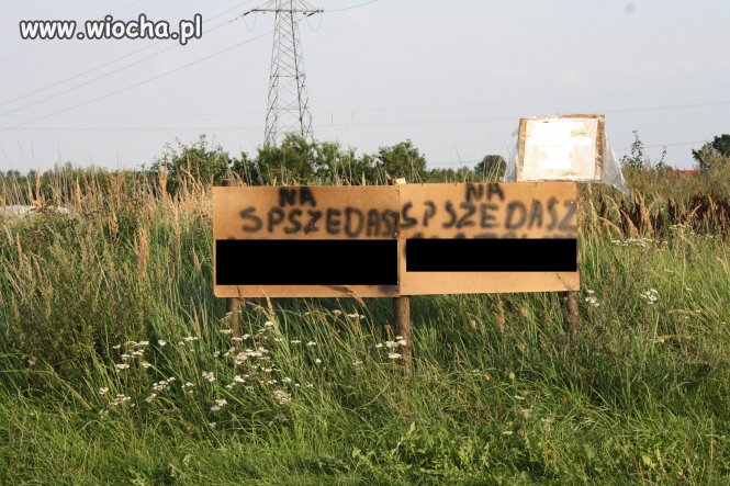 Język polski
