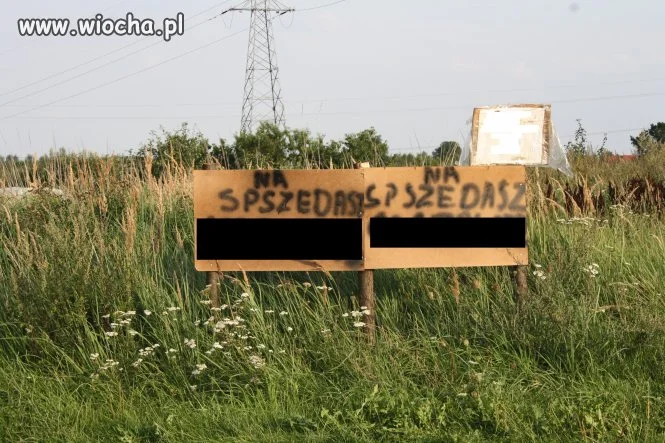 Język polski