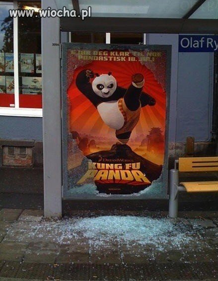 Kung Fu Panda!