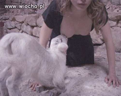 Szkolna wycieczka do zoo