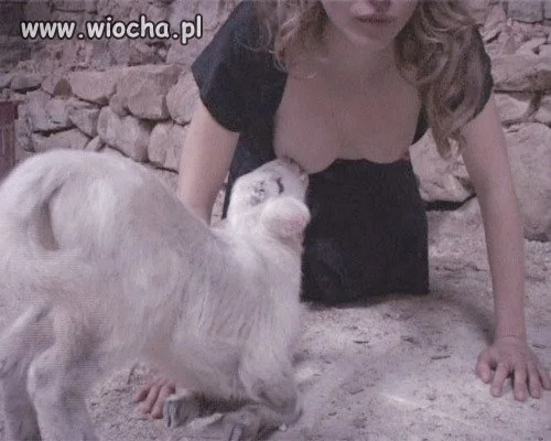 Szkolna wycieczka do zoo