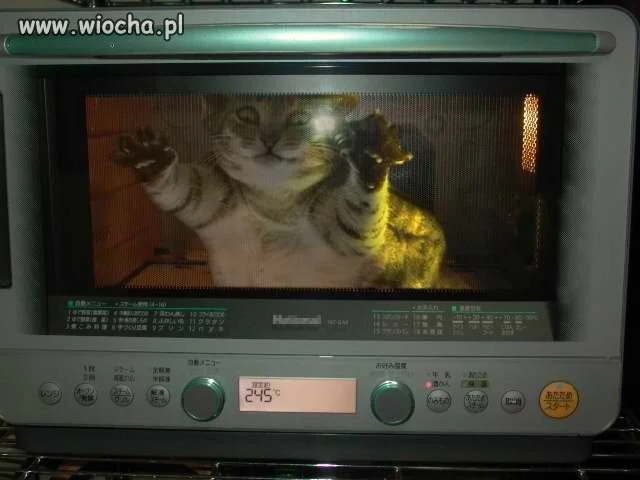 Nowy zwyczaj.