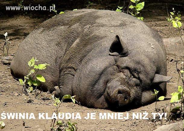 Prosto z życia 