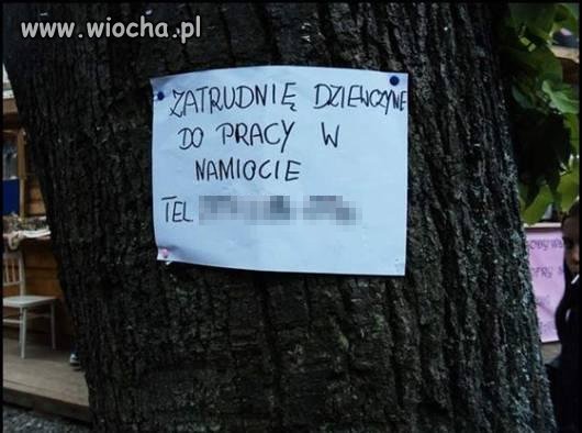 Praca